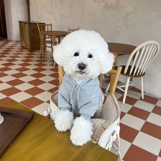 Cute dog wearing a THRIXINE hoodie, perfect comfortable dog sweaters for winter outings