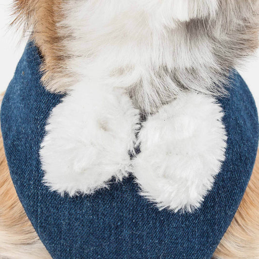 Close-up of a comfortable luxury dog harness in denim fabric on a fluffy dog chest