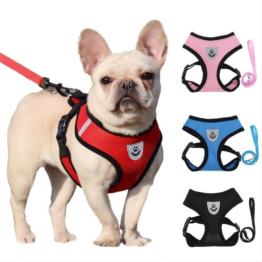 Purrfect Pet Kingdom Comfortable No-Pull Cat and Dog Vest S Black Purrfect Pet Kingdom