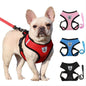 Purrfect Pet Kingdom Comfortable No-Pull Cat and Dog Vest S Black Purrfect Pet Kingdom