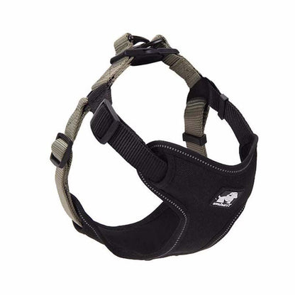 Comfortmesh Dog Leash Collar: Convenient And Stylish Walking Companion For Dogs Of All Sizes