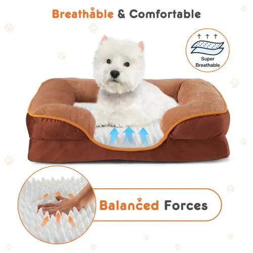 Dog Bed Orthopedic Memory Foam Medium ComfyPet 🛏️