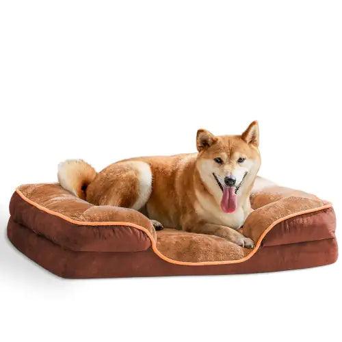 Dog Bed Orthopedic Memory Foam Medium ComfyPet 🛏️