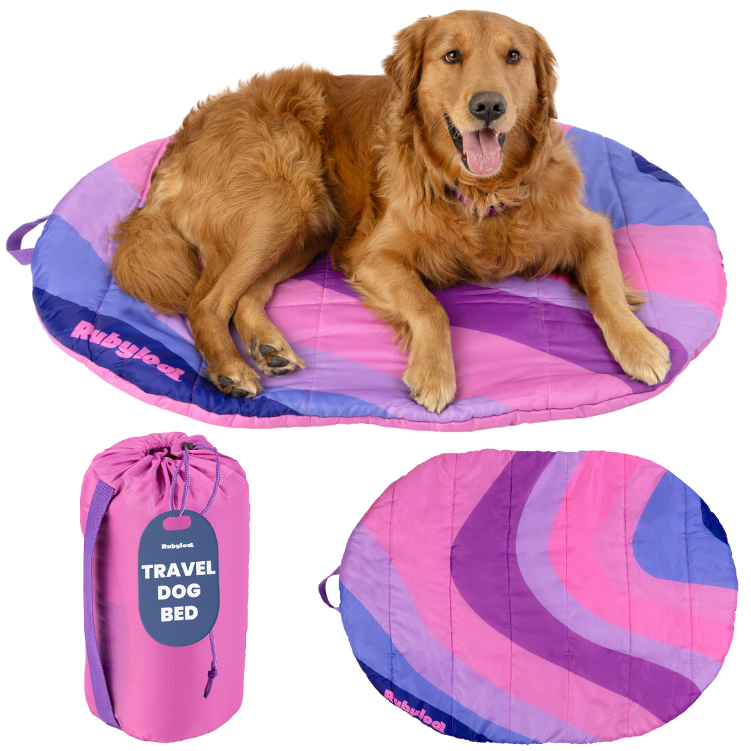 Ruby Loft compact folding pet bed for travel in pink and purple with a golden retriever resting on it