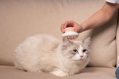 Purrfect Pet Kingdom Compact Pet Brush for Cats and Dogs Purrfect Pet Kingdom