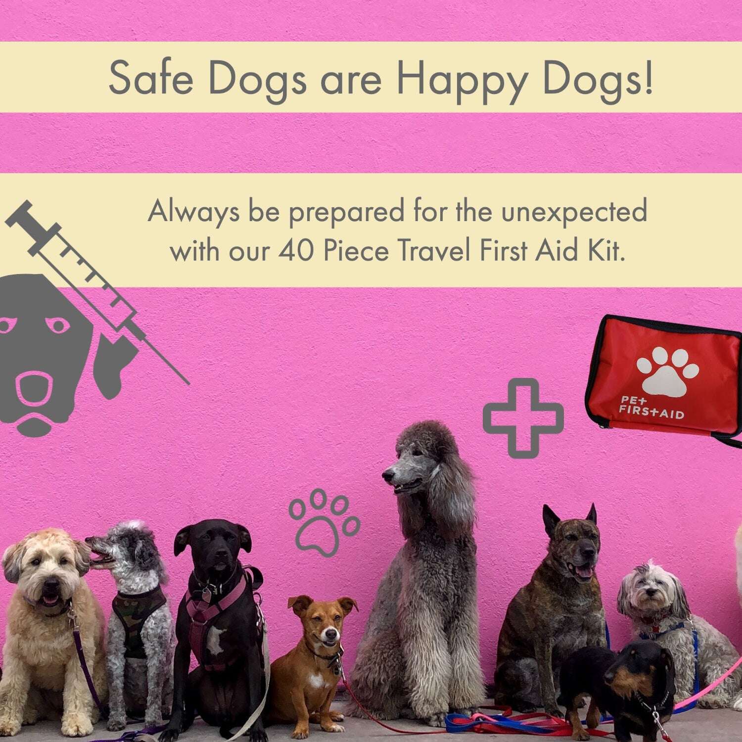 Purrfect Pet Kingdom comprehensive pet adventure first aid set for safe travel with dogs and cats