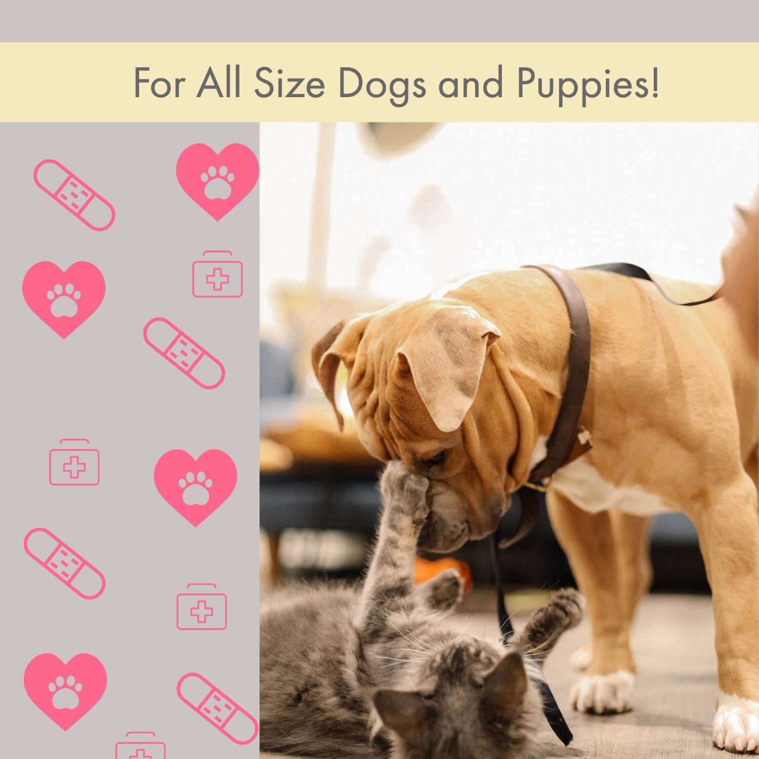 Comprehensive pet adventure first aid set for all size dogs and puppies with essential supplies