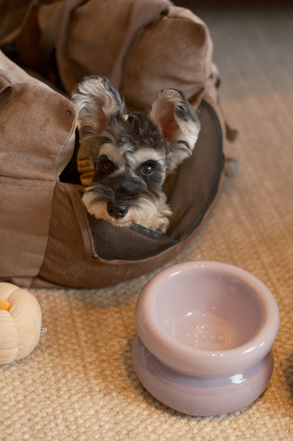 Ergonomic Imperial Purple Ceramic Pet Bowl for Cats and Dogs