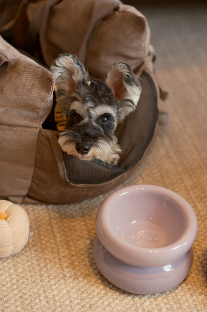 Ergonomic Imperial Purple Ceramic Pet Bowl for Cats and Dogs