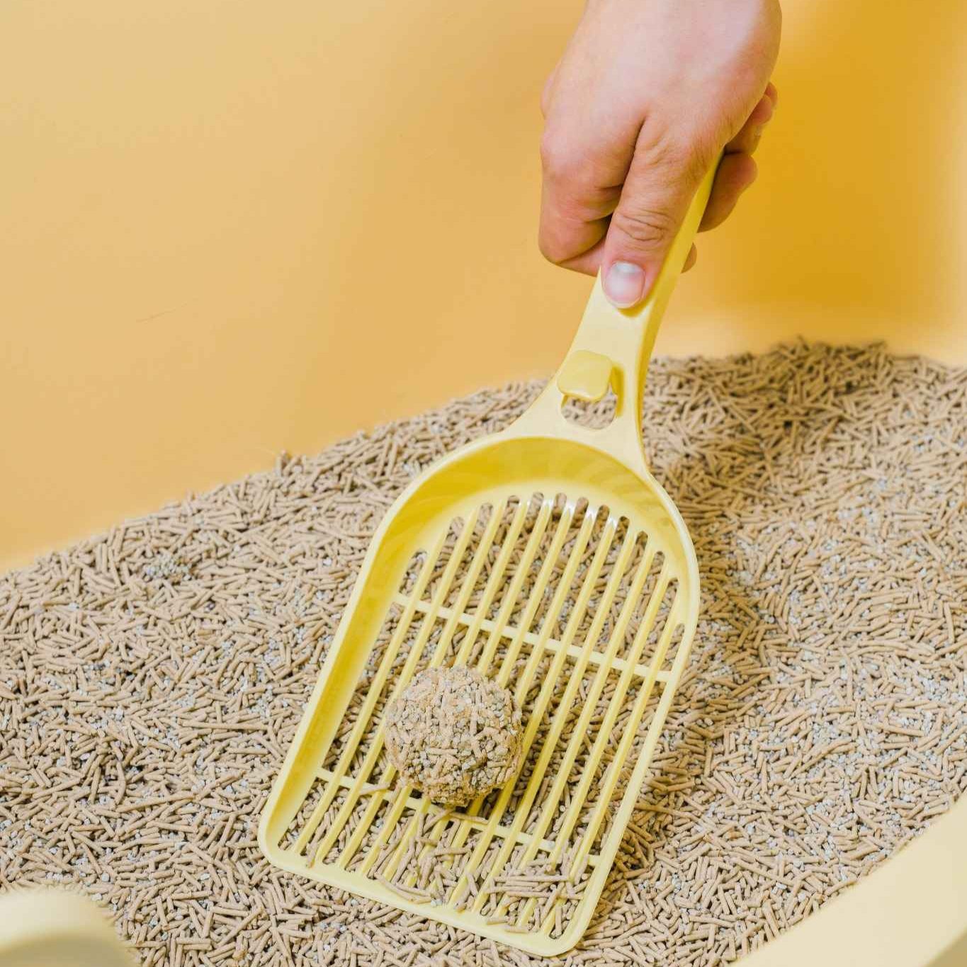 MangoPets litter scoop designed as the best scoop for clumping litter, efficiently removing waste from cat litter.