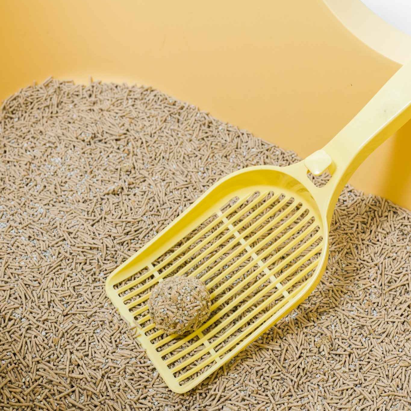 MangoPets Litter Scoop in Yellow, the best scoop for clumping litter with sturdy design for easy cleanup