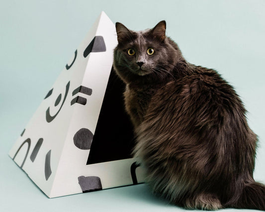 'Doodle' Cardboard Cat Pyramid - KittyKardboard