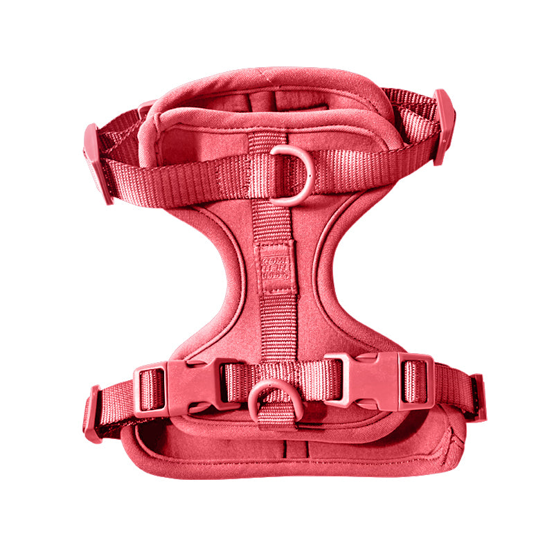 Harness - Pet Collars & Harnesses - Come Here Buddy