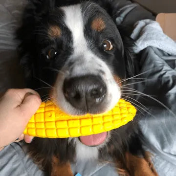 Corn on the Cob Nylon Dog Toy for Aggressive Chewers by SodaPup, yellow, ideal for tough chewers, priced at $12.99.