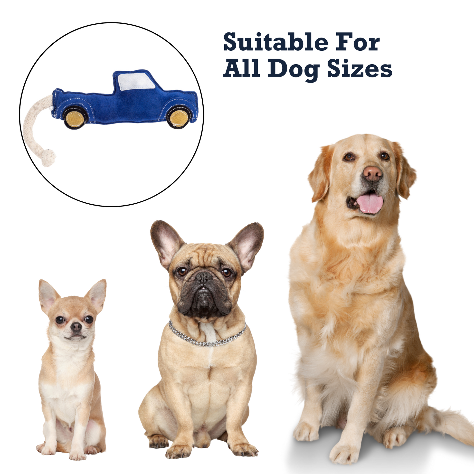 Durable dog chew toy for aggressive chewers shaped like a blue car, suitable for all dog sizes