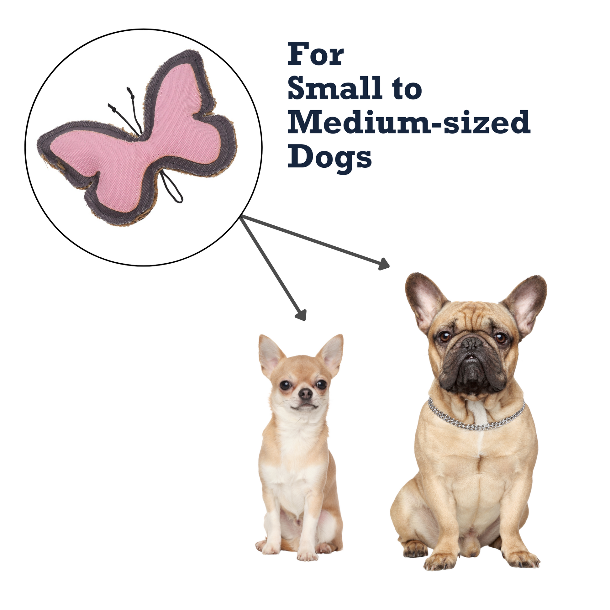 Purrfect Pet Kingdom durable dog chew toy for strong chewers in butterfly shape for small to medium dogs