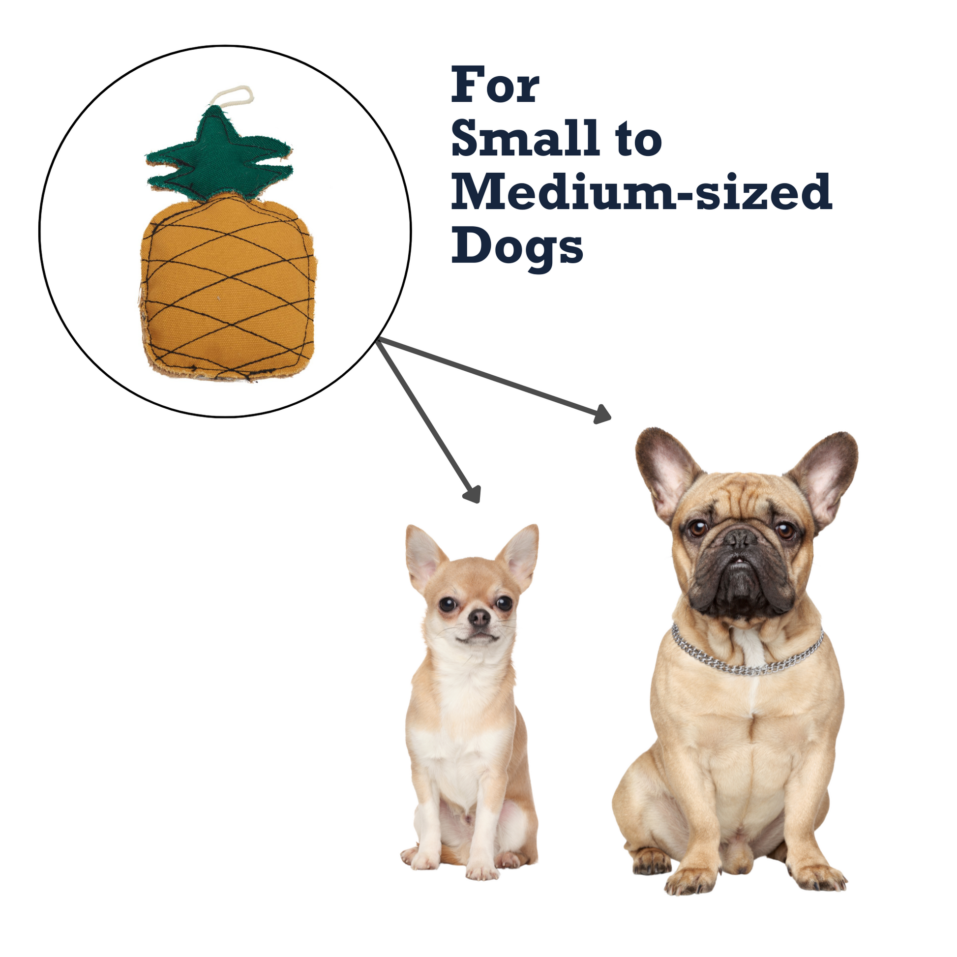 Durable pineapple dog toy designed for small to medium-sized dogs for fun and playtime