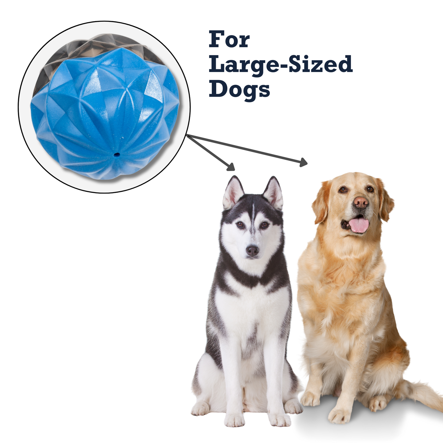 Purrfect Pet Kingdom large interactive rubber dog toy designed for large-sized dogs with vibrant colors