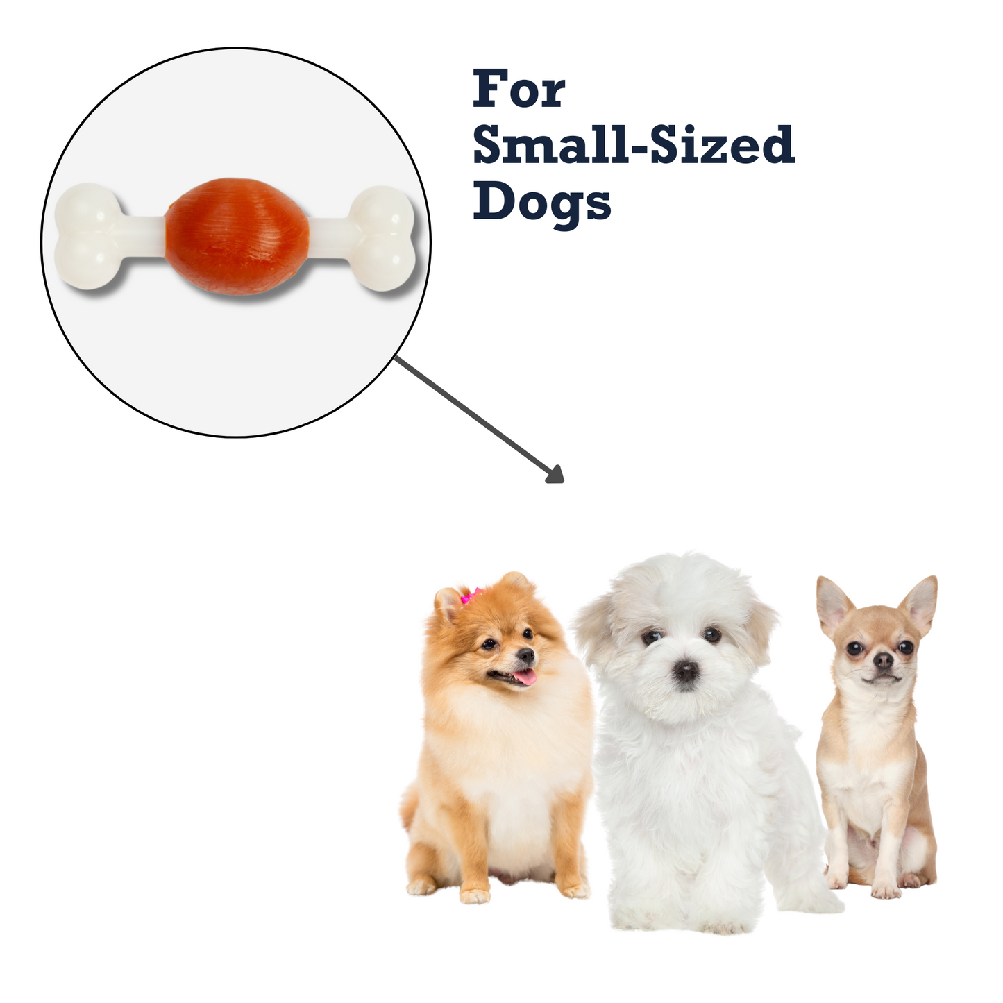 Nylon bone chew toy for small dogs featuring a colorful design and safe material