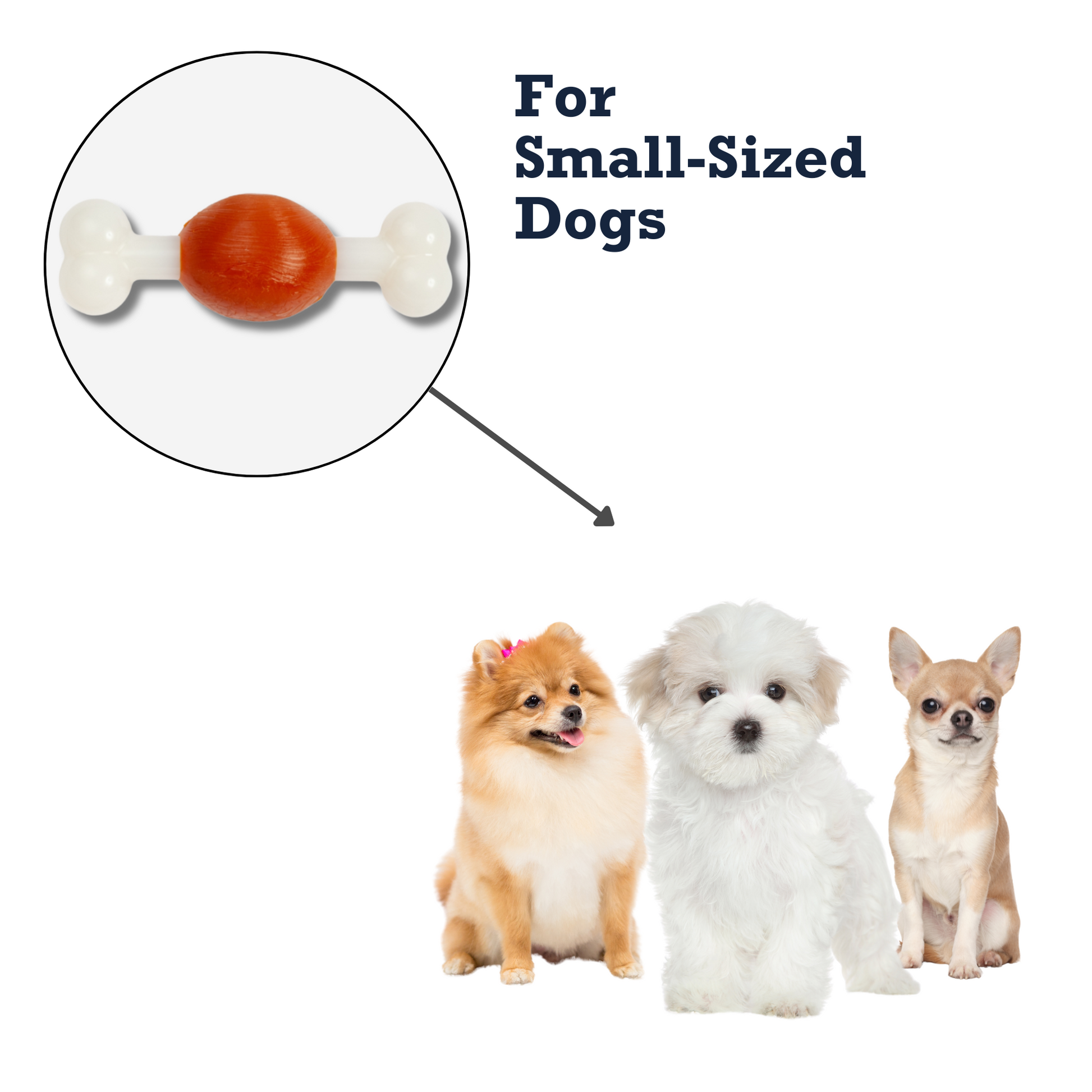 Nylon bone chew toy for small dogs featuring a colorful design and safe material