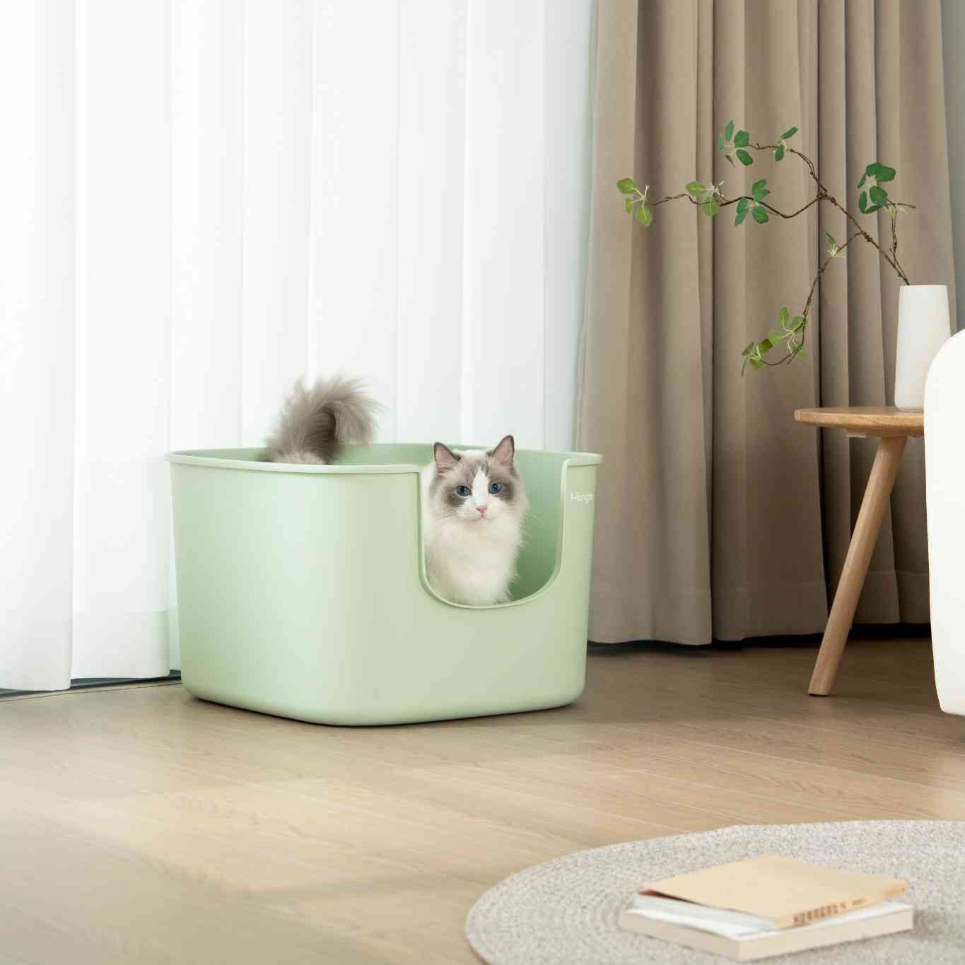 MangoPets covered litter box for multiple cats in a stylish green design with a cat inside