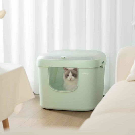 MangoPets covered litter box for multiple cats with a clear front door for easy access