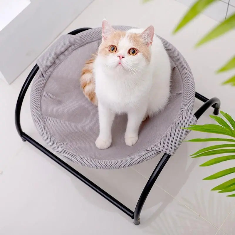Cozy Cat Lounger from Purrfect Pet Kingdom with a white and orange cat resting on a gray mesh bed