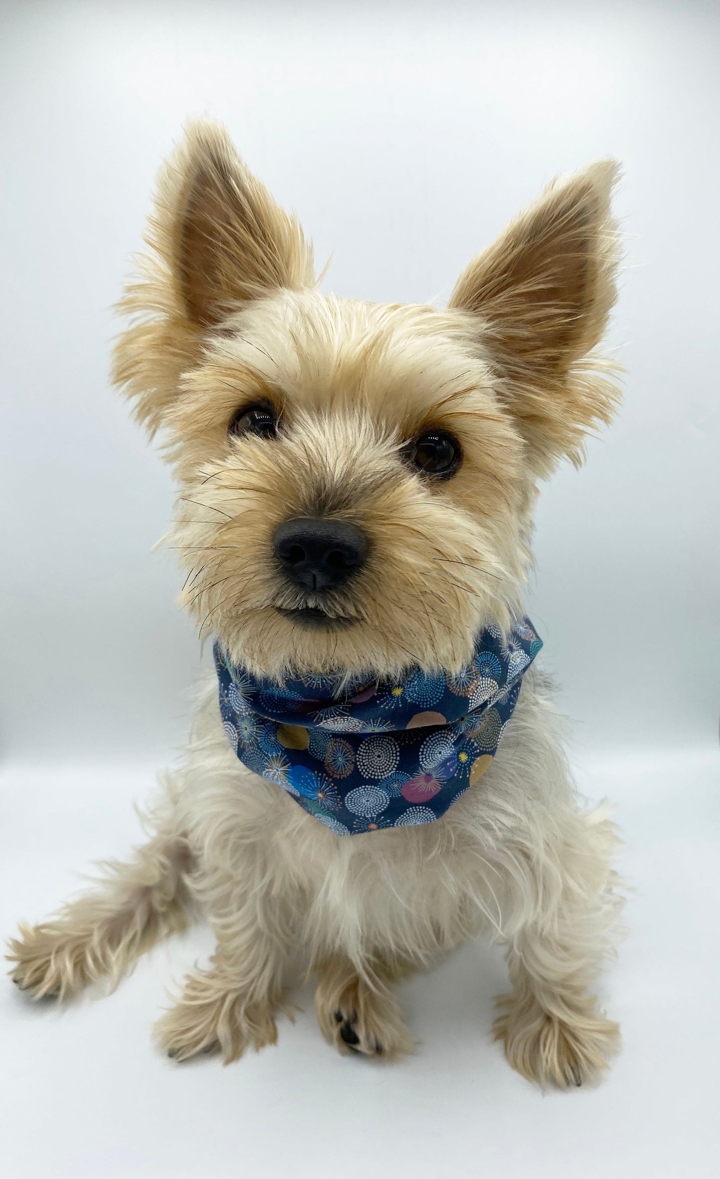 Cozy dog snood for winter in blue with colorful patterns, perfect for stylish and warm pets