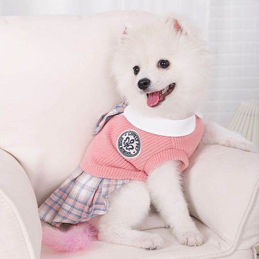 White fluffy dog wearing a cozy dog sweater with bow in pink plaid dress style sitting on a chair
