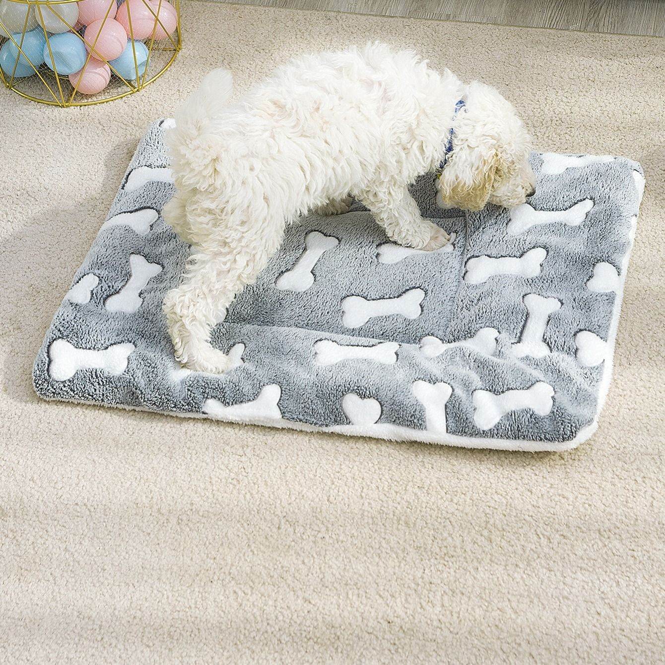 Cozy orthopedic pet sleeping pad with gray bone pattern and white fluffy dog on carpet