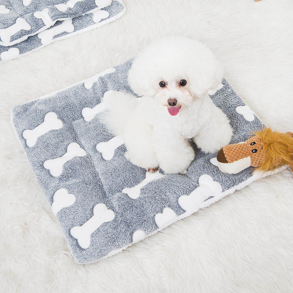 Cozy orthopedic pet sleeping pad with bone pattern and a small white dog on top from Purrfect Pet Kingdom