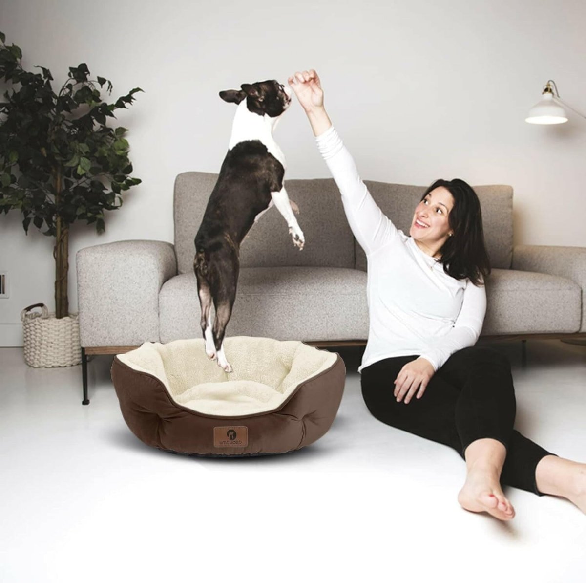 Happy dog jumping near owner beside a cozy round bed for small pets in a stylish living room