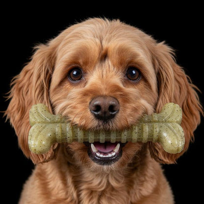 Brown dog holding a green, textured SodaPup Tough Bone nylon chew toy in its mouth.