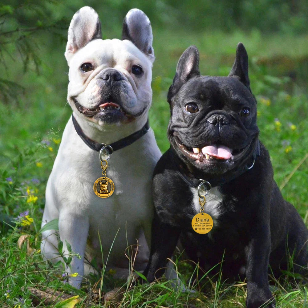 Two French Bulldogs wearing custom pet name tags for dogs in a lush green park