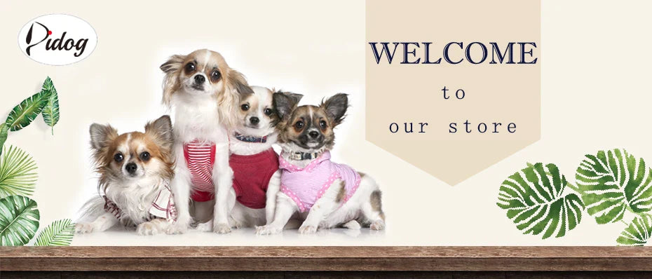 Four adorable dogs wearing stylish outfits showcasing a custom pet name tag for dogs