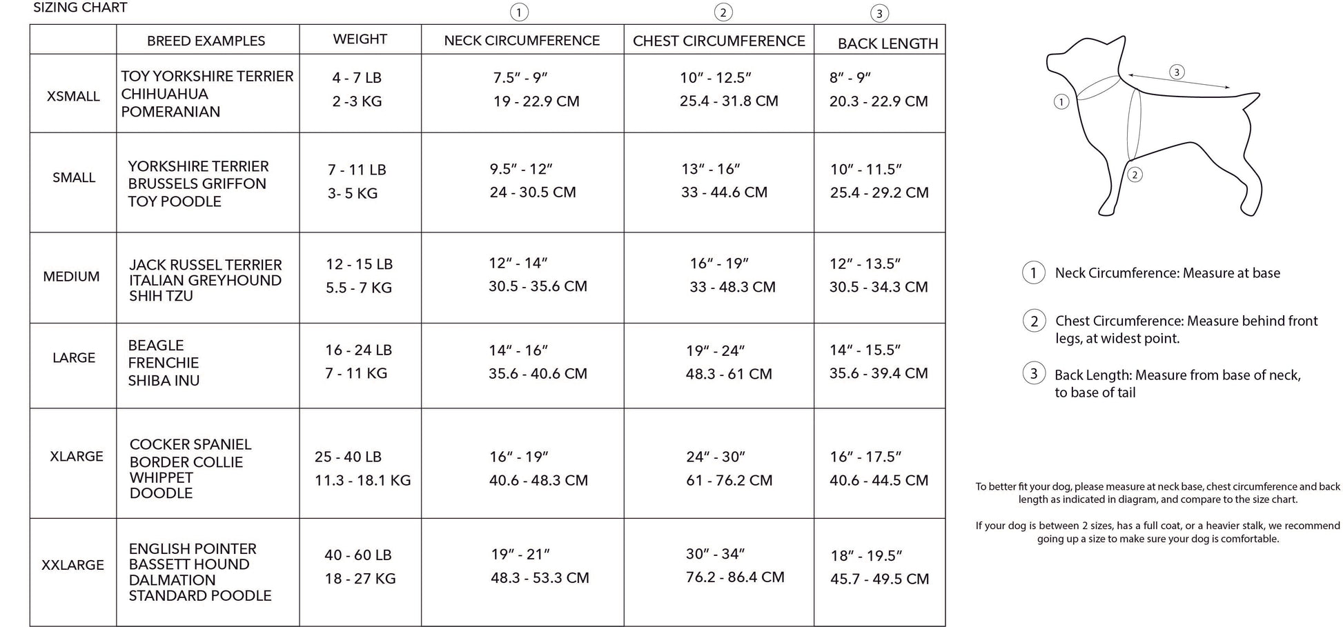 BESPOKE PAWS cute dog hoodie with stars in soft fabric for stylish small dogs