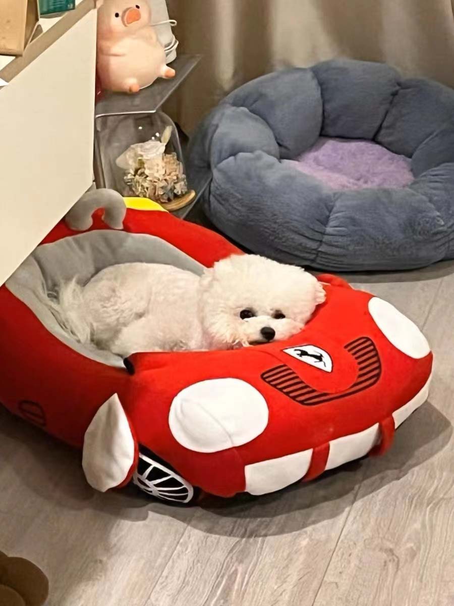 Dog bed car