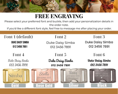 Purrfect Pet Kingdom customization: 6 engraving fonts and metal buckles in Gold, Rose Gold, Silver, and Black.