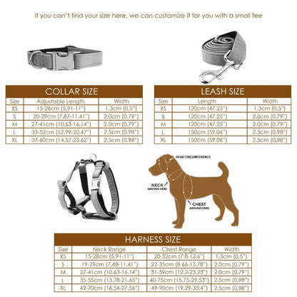 Classic Blue Denim 5-Piece Dog Harness and Leash Walking Set