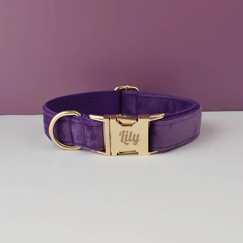 Premium Purple Velvet Dog Collar and Leash Set for Small Do