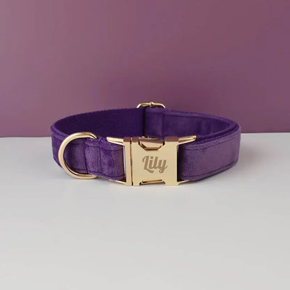 Premium Purple Velvet Dog Collar and Leash Set for Small Do