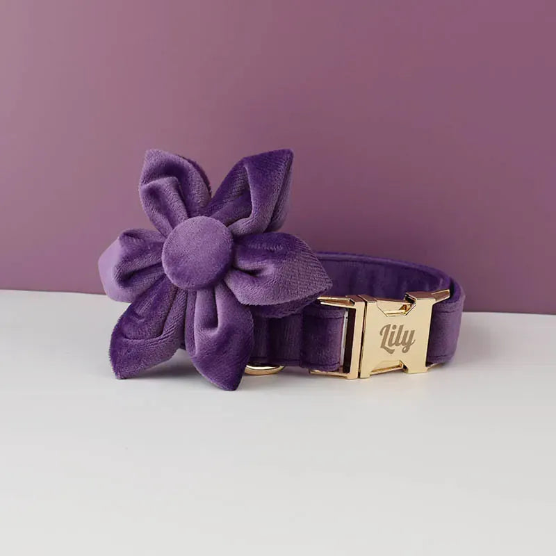 Premium Purple Velvet Dog Collar and Leash Set for Small Do