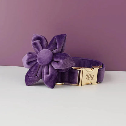 Premium Purple Velvet Dog Collar and Leash Set for Small Do