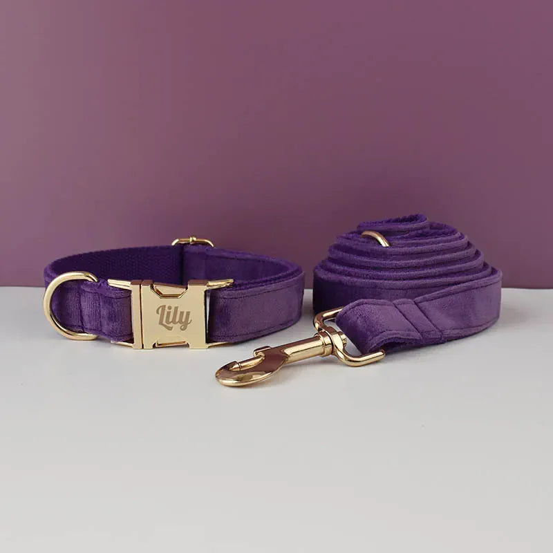 Premium Purple Velvet Dog Collar and Leash Set for Small Do