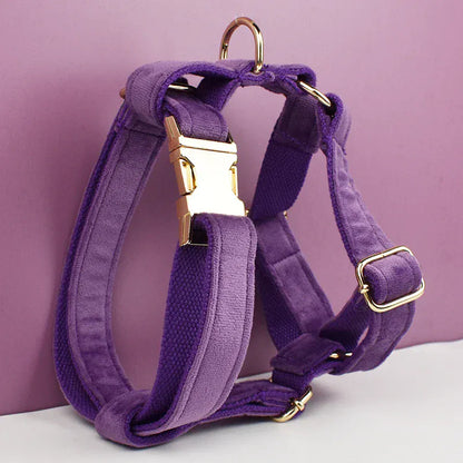 Premium Purple Velvet Dog Collar and Leash Set for Small Do