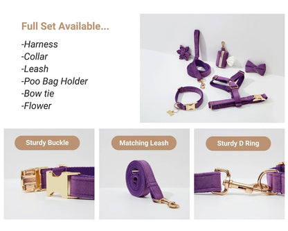Premium Purple Velvet Dog Collar and Leash Set for Small Do
