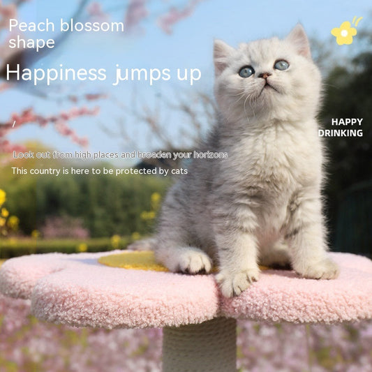 Cat Climbing Frame Cat Nest Cat Tree Integrated Small And