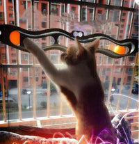 Windowsill Track Ball Cat Toy