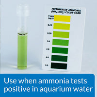 Ammo Lock Freshwater and Saltwater Aquarium Ammonia Detoxifier 1-Gallon Bottle