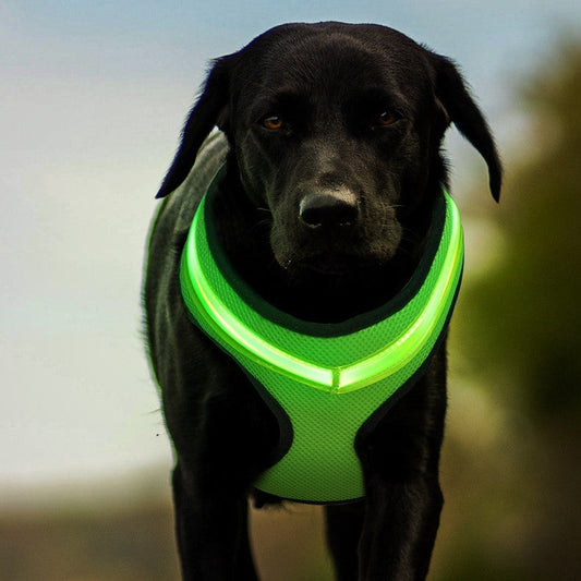 LED USB Rechargeable Reflective Safety Dog Harness for Pets